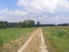 Obrázek_102