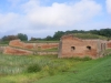 Obrázek_186