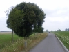 Obrázek_354