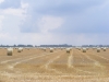 Obrázek_359