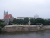 Obrázek_441