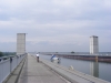 Obrázek_467