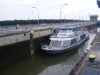 Obrázek_484