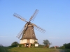Obrázek_503