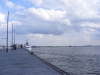 Obrázek_722