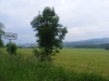 DSCF2160