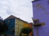 DSCF2223