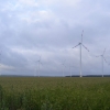 DSCF2296