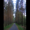 DSCF2313