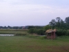 DSCF2366