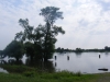 DSCF2387