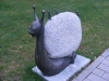 DSCF2429