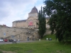 DSCF2454