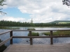 Chalupská_slať_28.6.2015