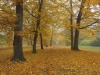 Kroměříž_31.10.2015