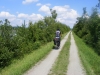 Snimek_439
