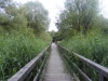 Snimek_462