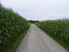Snimek_491